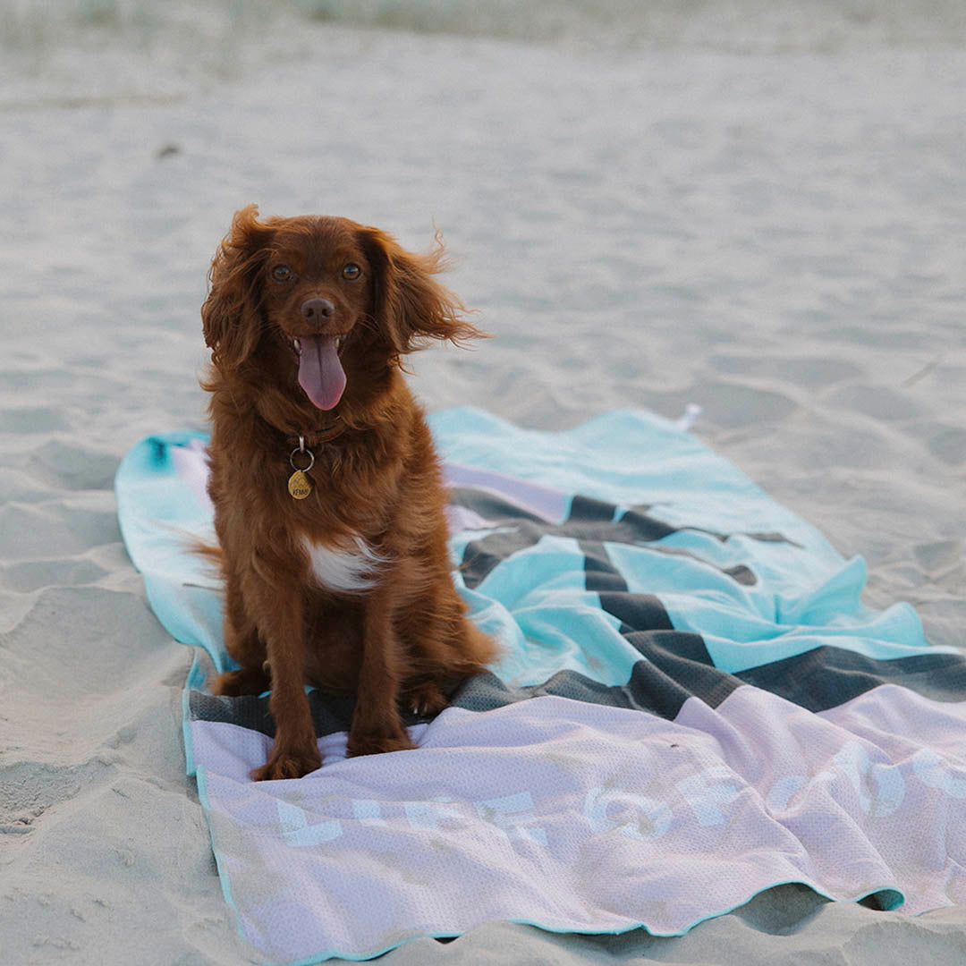 Miami Palm trees sand free beach towel