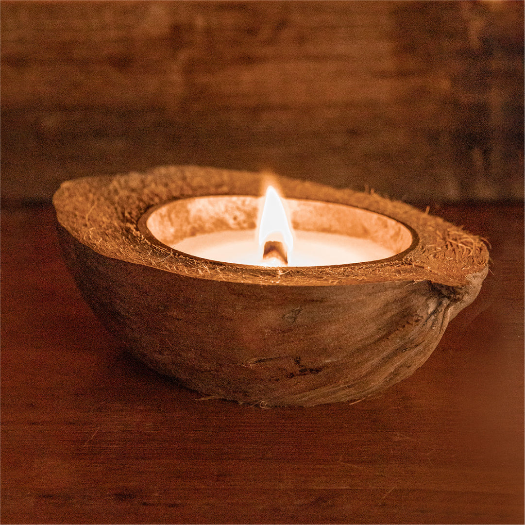 Half Shell Coconut Candle - Toasted Coconut